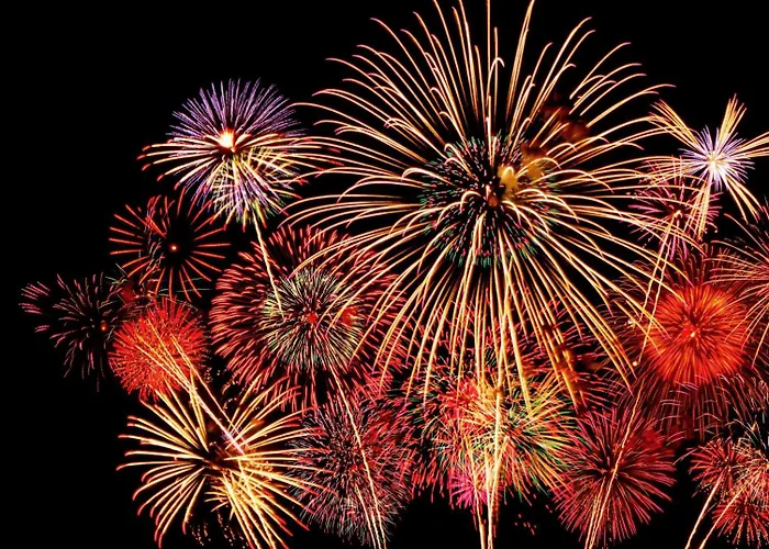 Les Rives Remoises Daire Reims